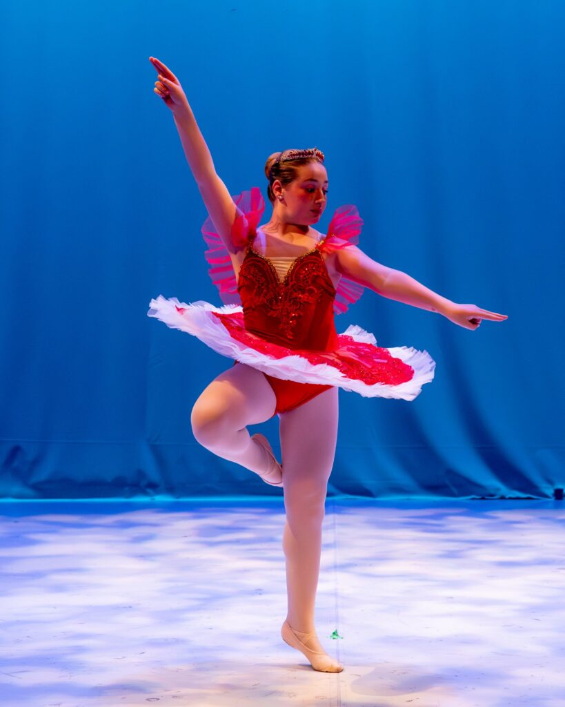 Festival de fin de curso